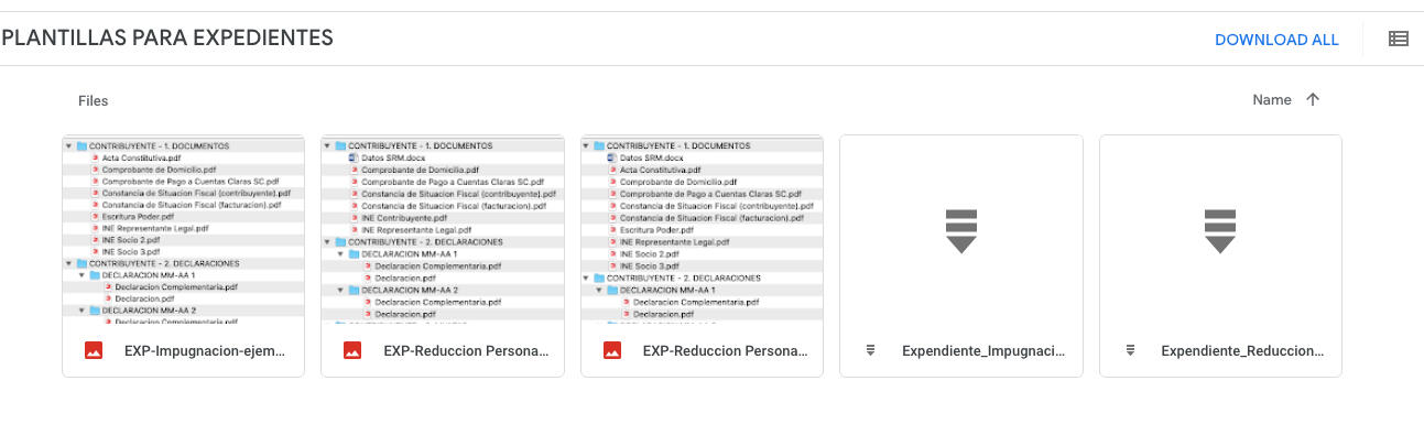 Muestra de contenido en Plantillas de Expedientes